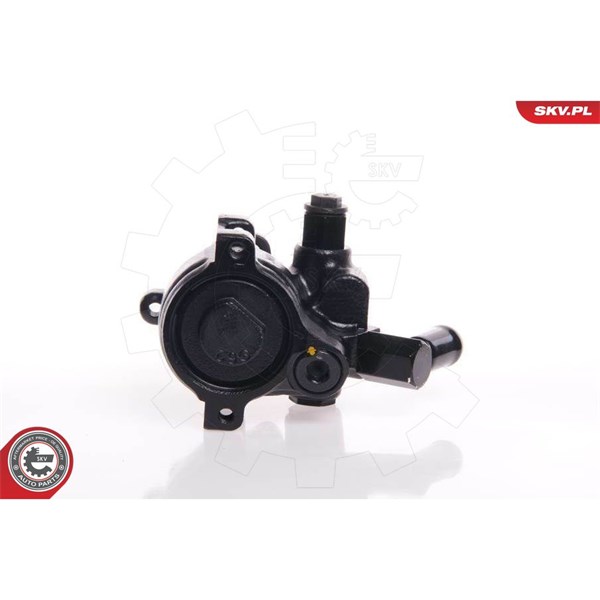 Servopump Esen skv 10SKV144 ESEN SKV