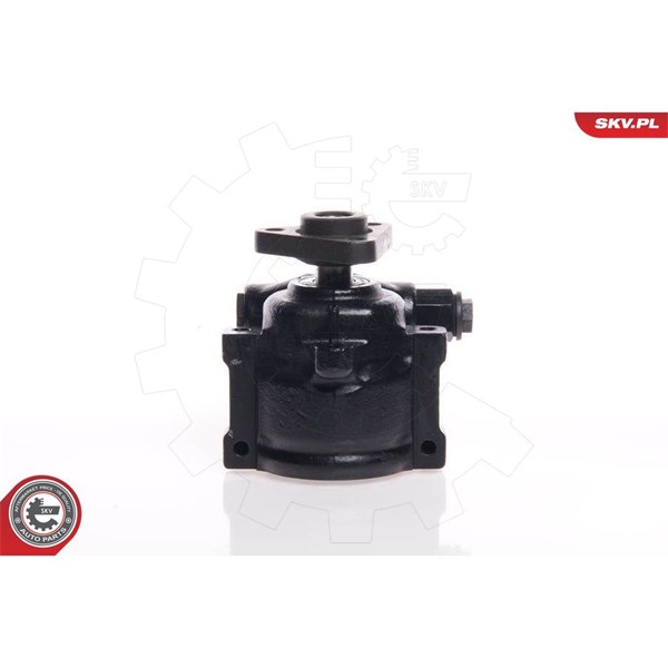 Servopump Esen skv 10SKV144 ESEN SKV