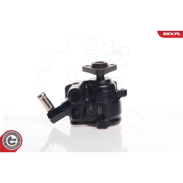 Servopump Esen skv 10SKV144 ESEN SKV