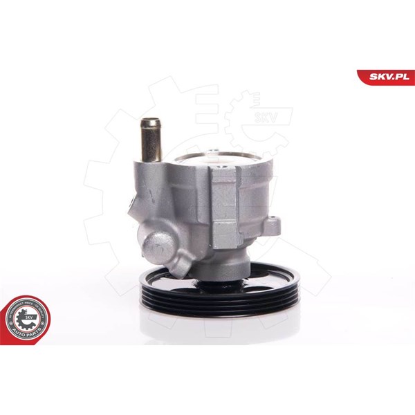 Servopump Esen skv 10SKV146 ESEN SKV