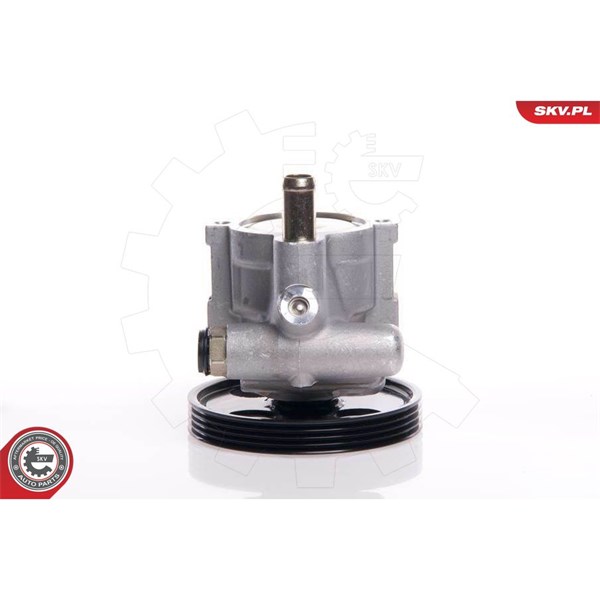 Servopump Esen skv 10SKV146 ESEN SKV
