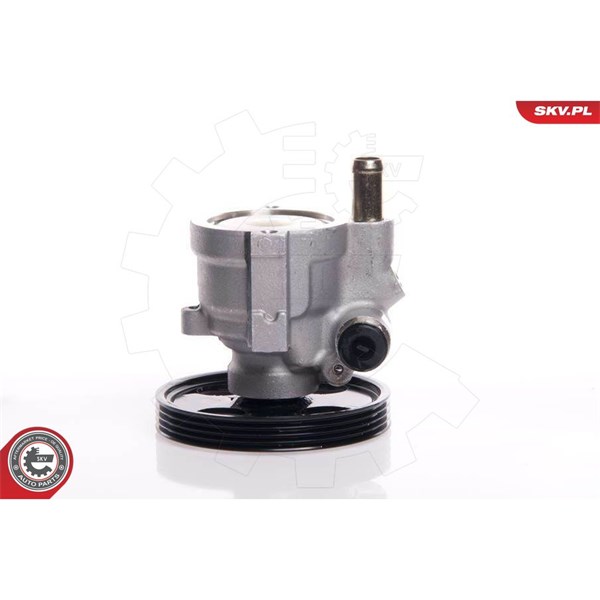 Servopump Esen skv 10SKV146 ESEN SKV