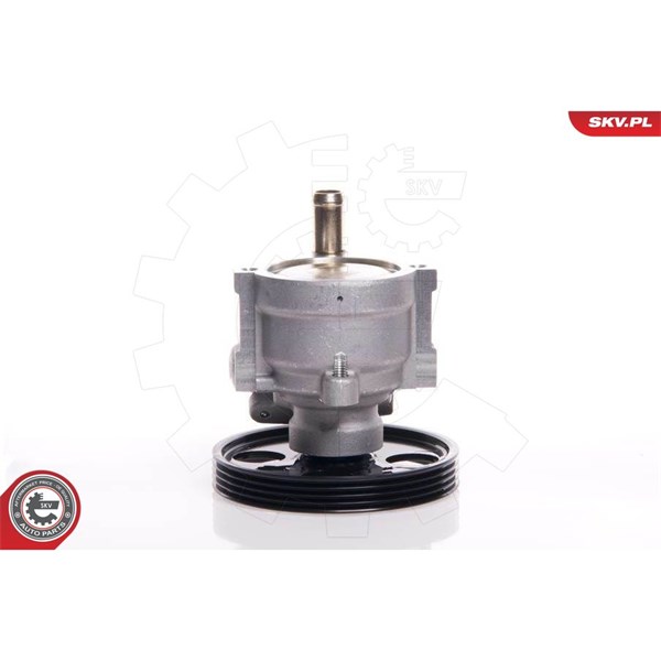 Servopump Esen skv 10SKV146 ESEN SKV