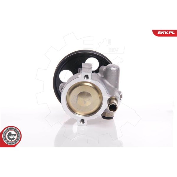 Servopump Esen skv 10SKV146 ESEN SKV