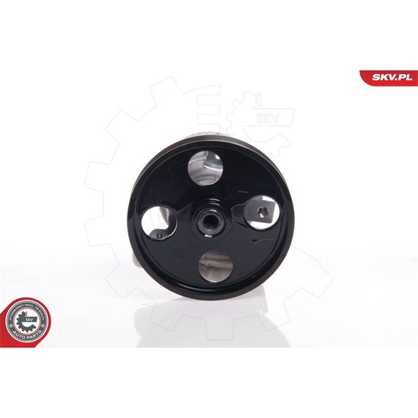 Servopump Esen skv 10SKV146 ESEN SKV
