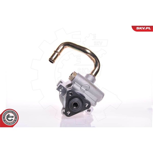 Servopump Esen skv 10SKV149 ESEN SKV Servopump Esen skv 10SKV149 ESEN SKV