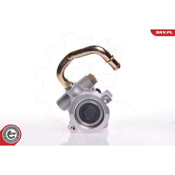 Servopump Esen skv 10SKV149 ESEN SKV