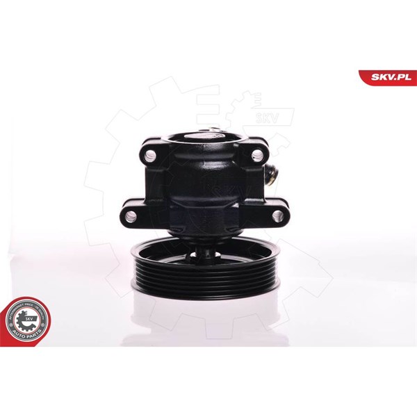 Servopump Esen skv 10SKV150 ESEN SKV
