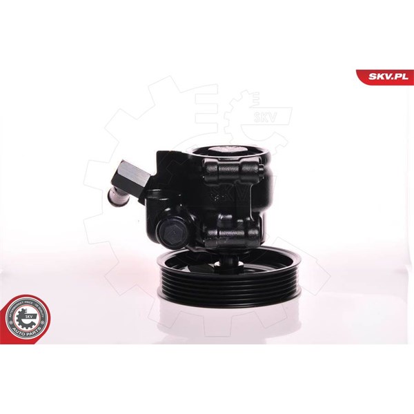 Servopump Esen skv 10SKV150 ESEN SKV