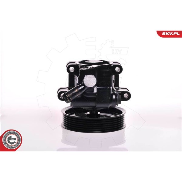 Servopump Esen skv 10SKV150 ESEN SKV