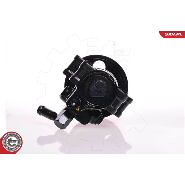 Servopump Esen skv 10SKV150 ESEN SKV