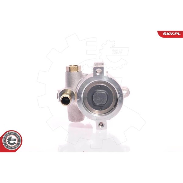 Servopump Esen skv 10SKV154 ESEN SKV
