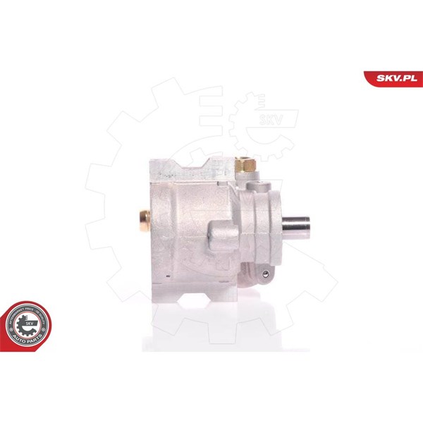 Servopump Esen skv 10SKV154 ESEN SKV