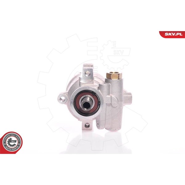 Servopump Esen skv 10SKV154 ESEN SKV