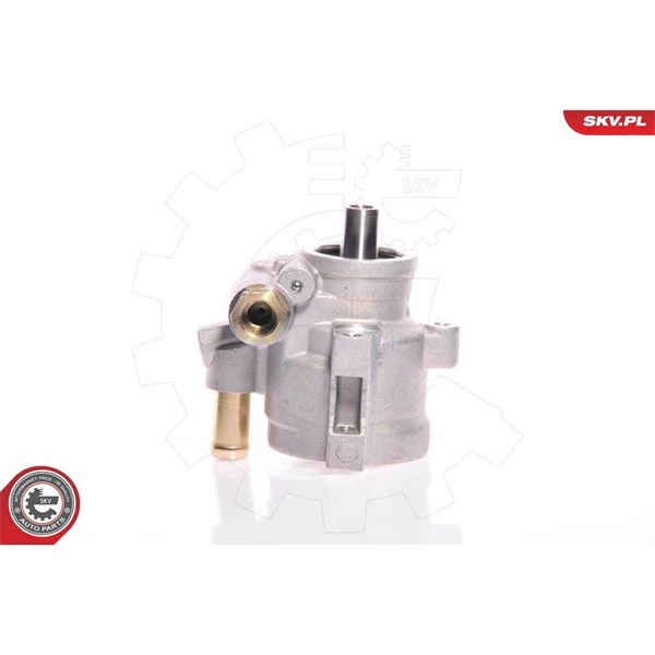 Servopump Esen skv 10SKV154 ESEN SKV