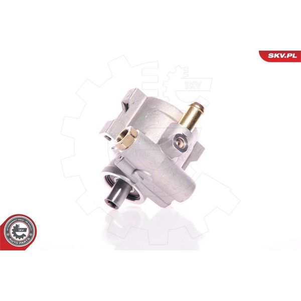 Servopump Esen skv 10SKV154 ESEN SKV