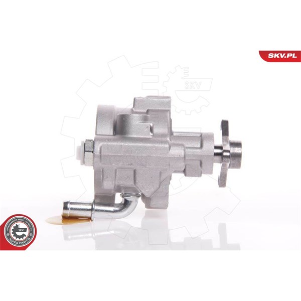Servopump Esen skv 10SKV157 ESEN SKV