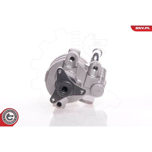Servopump Esen skv 10SKV157 ESEN SKV
