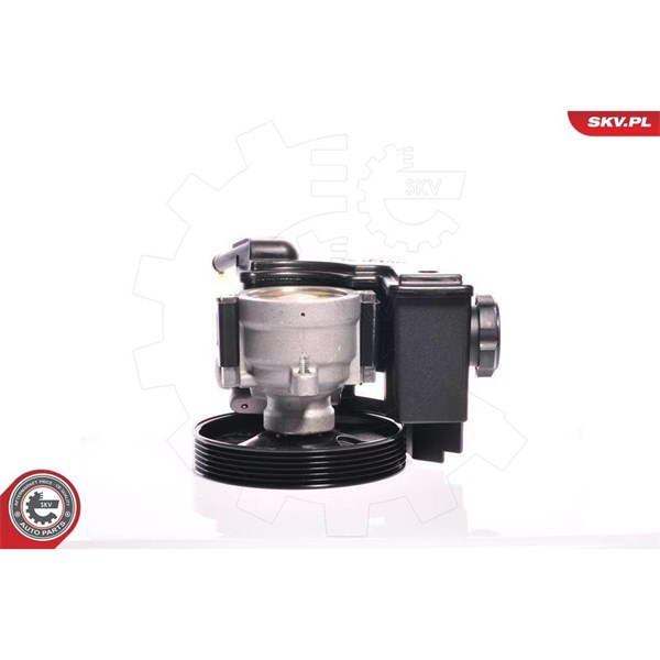 Servopump Esen skv 10SKV159 ESEN SKV