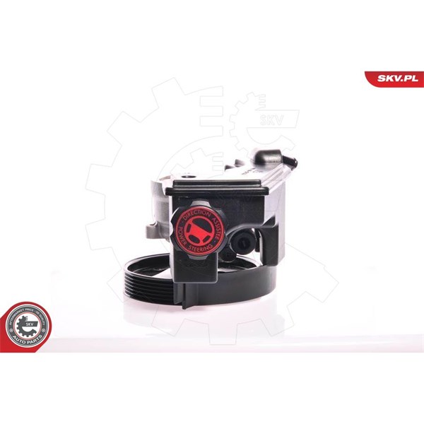 Servopump Esen skv 10SKV159 ESEN SKV Servopump Esen skv 10SKV159 ESEN SKV
