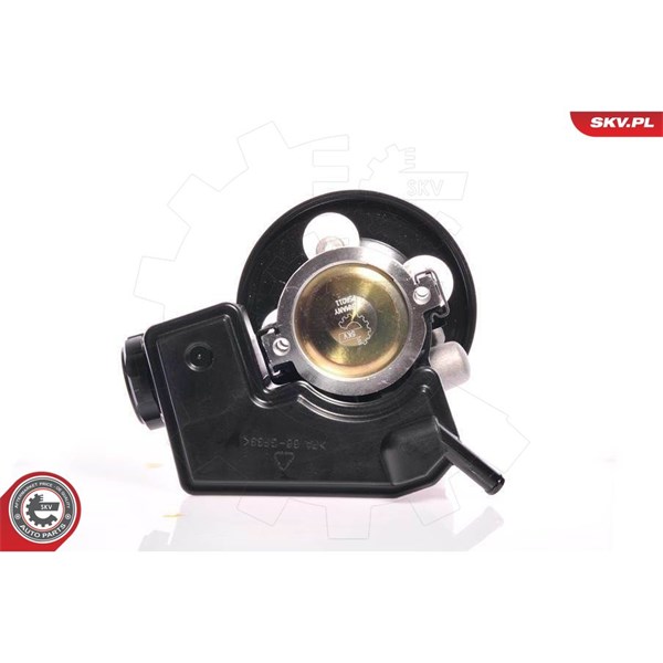 Servopump Esen skv 10SKV159 ESEN SKV Servopump Esen skv 10SKV159 ESEN SKV