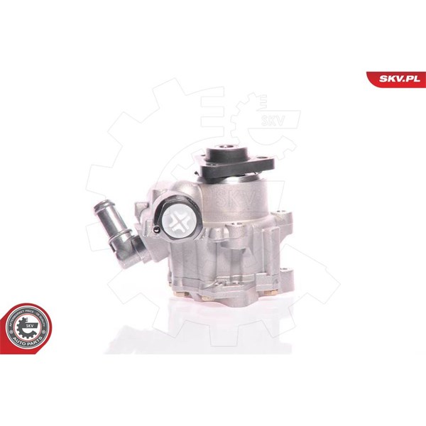 Servopump Esen skv 10SKV161 ESEN SKV