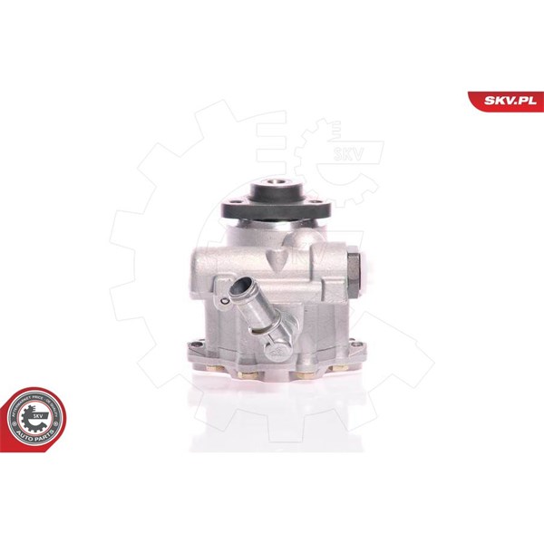 Servopump Esen skv 10SKV161 ESEN SKV