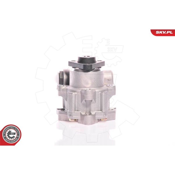 Servopump Esen skv 10SKV161 ESEN SKV