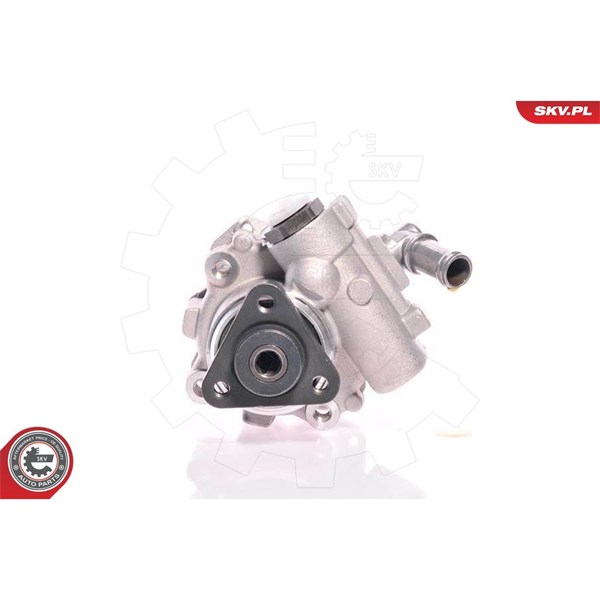 Servopump Esen skv 10SKV161 ESEN SKV
