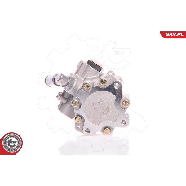 Servopump Esen skv 10SKV161 ESEN SKV