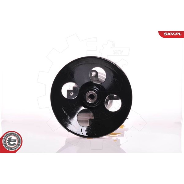 Servopump Esen skv 10SKV164 ESEN SKV