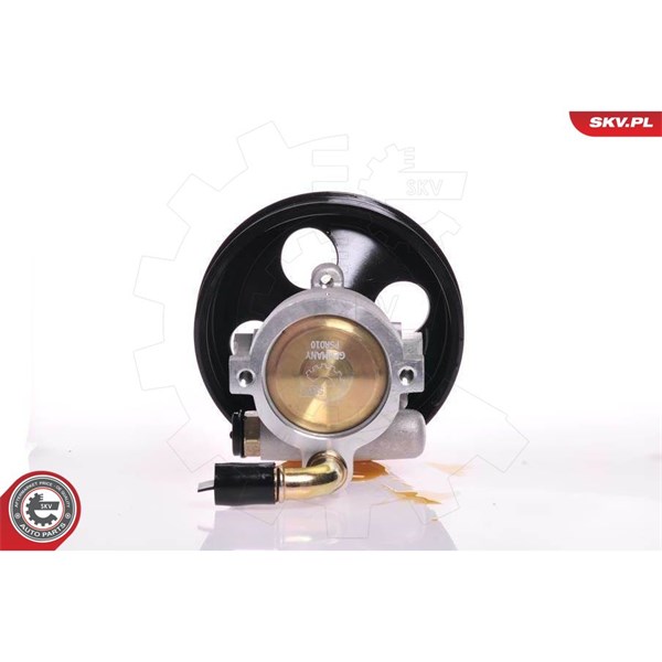 Servopump Esen skv 10SKV164 ESEN SKV