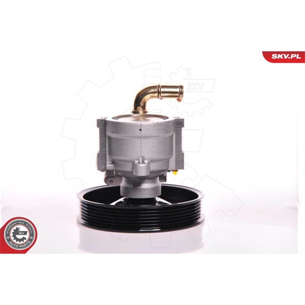 Servopump Esen skv 10SKV164 ESEN SKV