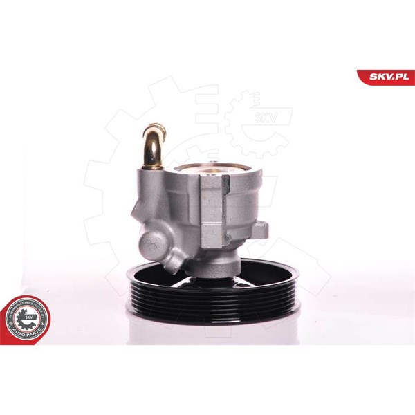 Servopump Esen skv 10SKV164 ESEN SKV