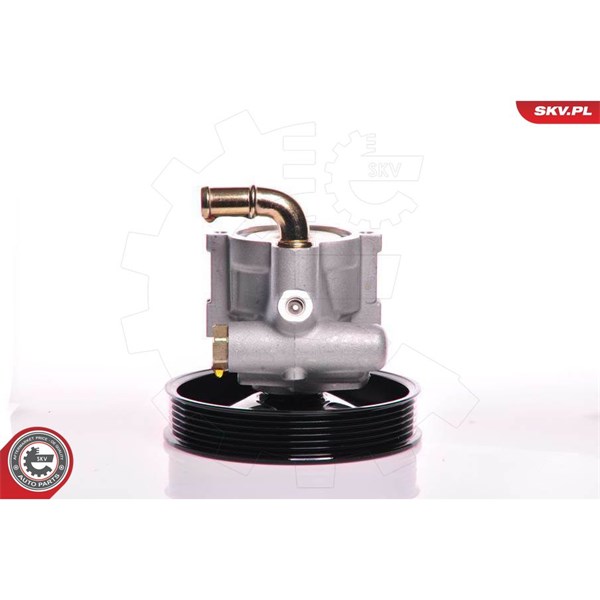 Servopump Esen skv 10SKV164 ESEN SKV
