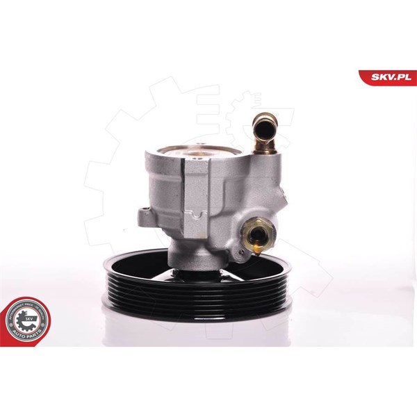 Servopump Esen skv 10SKV164 ESEN SKV