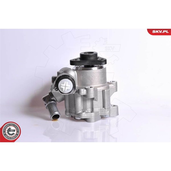 Servopump Esen skv 10SKV167 ESEN SKV