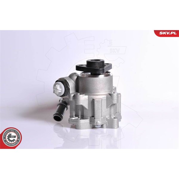Servopump Esen skv 10SKV167 ESEN SKV