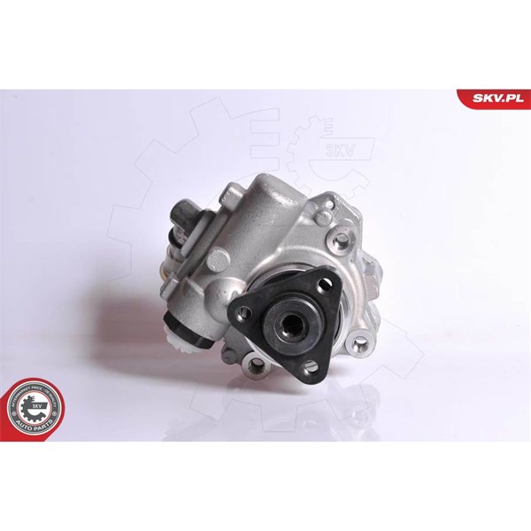 Servopump Esen skv 10SKV167 ESEN SKV