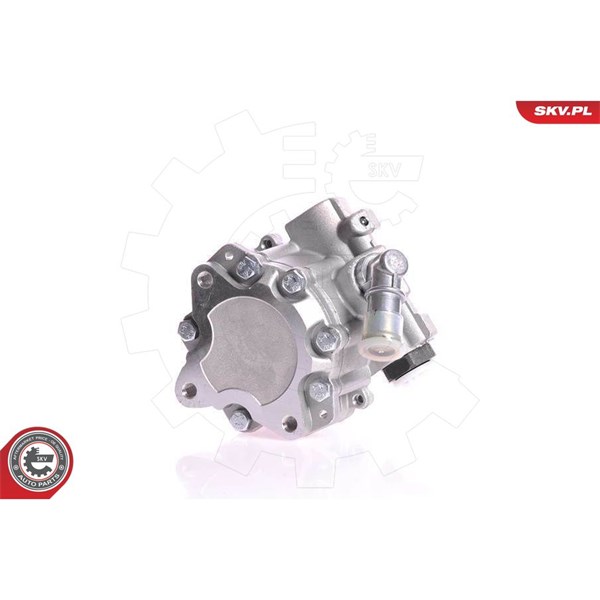 Servopump Esen skv 10SKV167 ESEN SKV