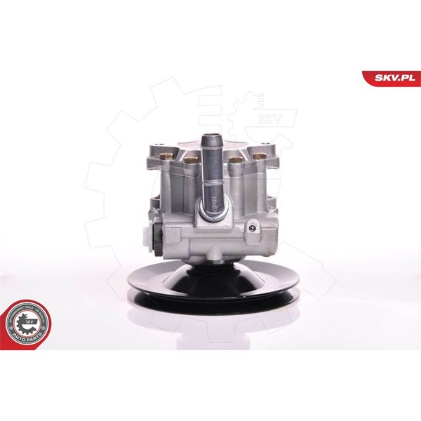 Servopump Esen skv 10SKV169 ESEN SKV