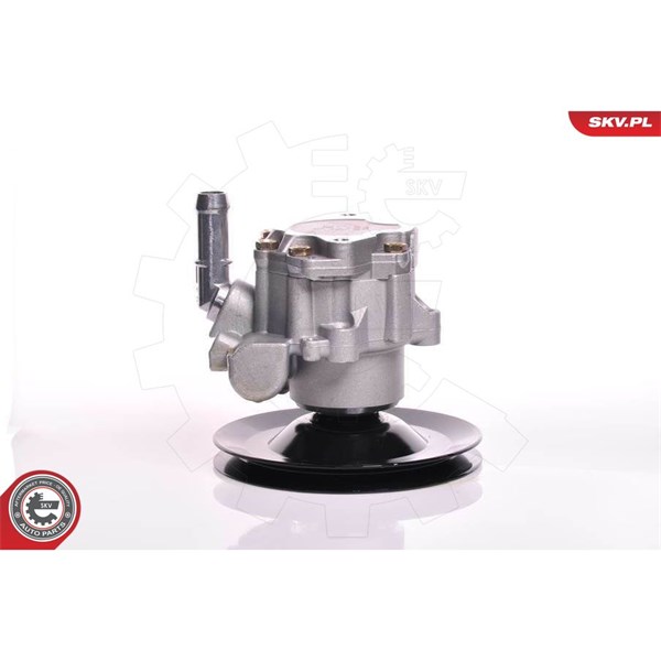 Servopump Esen skv 10SKV169 ESEN SKV