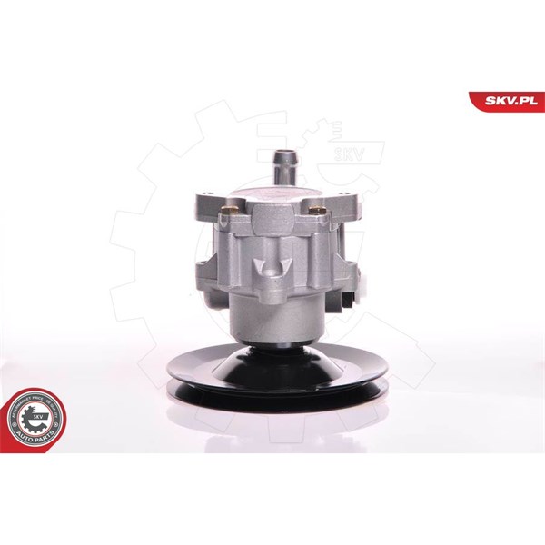 Servopump Esen skv 10SKV169 ESEN SKV