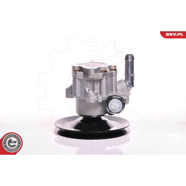 Servopump Esen skv 10SKV169 ESEN SKV