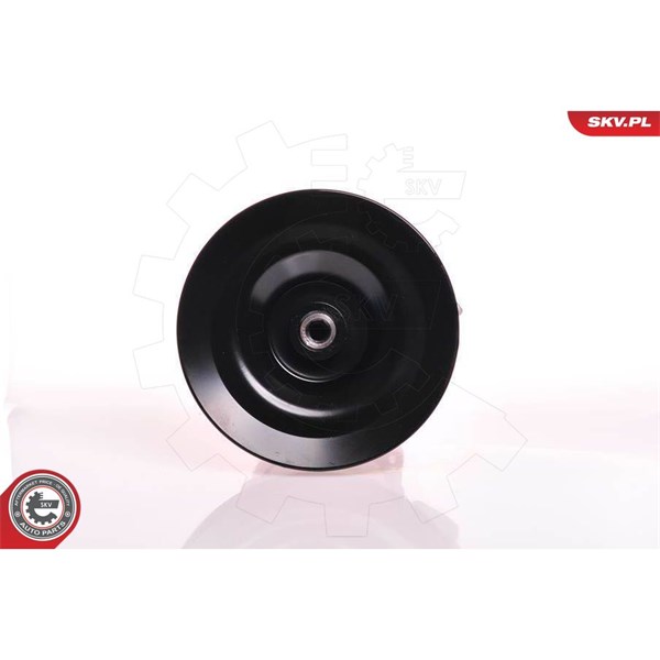 Servopump Esen skv 10SKV169 ESEN SKV