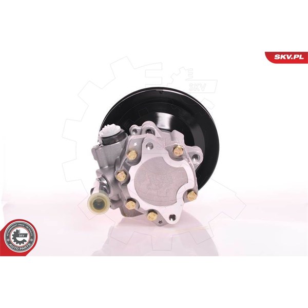 Servopump Esen skv 10SKV169 ESEN SKV