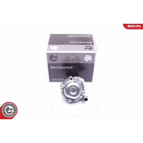 Servopump Esen skv 10SKV170 ESEN SKV Servopump Esen skv 10SKV170 ESEN SKV