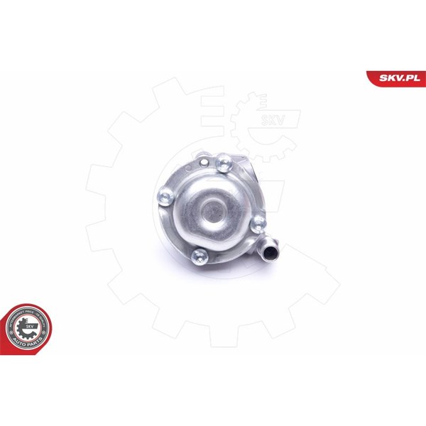 Servopump Esen skv 10SKV170 ESEN SKV