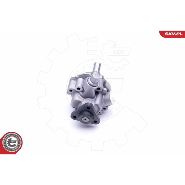 Servopump Esen skv 10SKV170 ESEN SKV Servopump Esen skv 10SKV170 ESEN SKV
