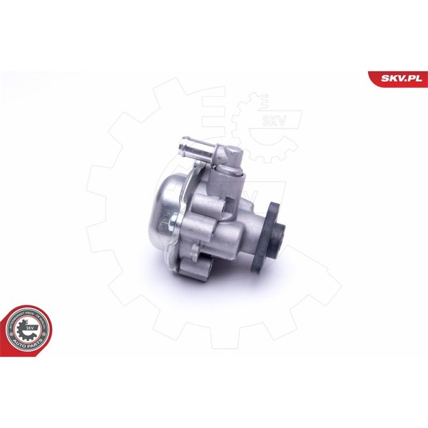 Servopump Esen skv 10SKV170 ESEN SKV Servopump Esen skv 10SKV170 ESEN SKV